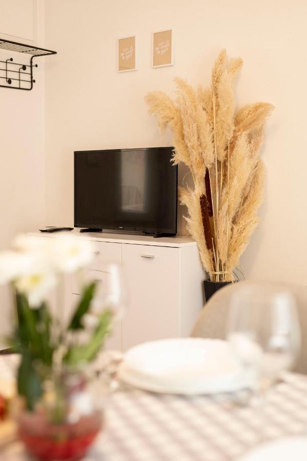 Studio Apartman Amalie Pazin Exterior photo